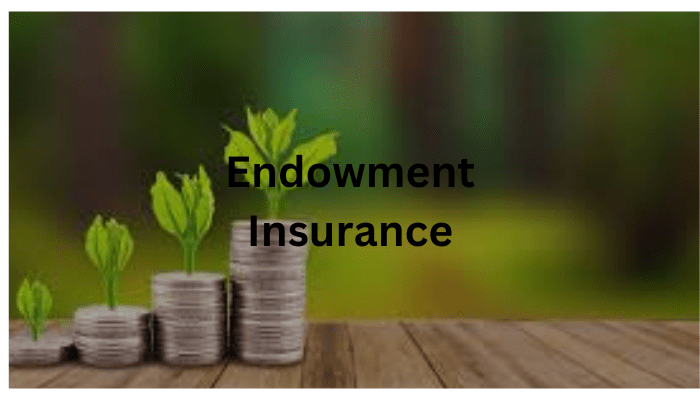 Endowment Insurance