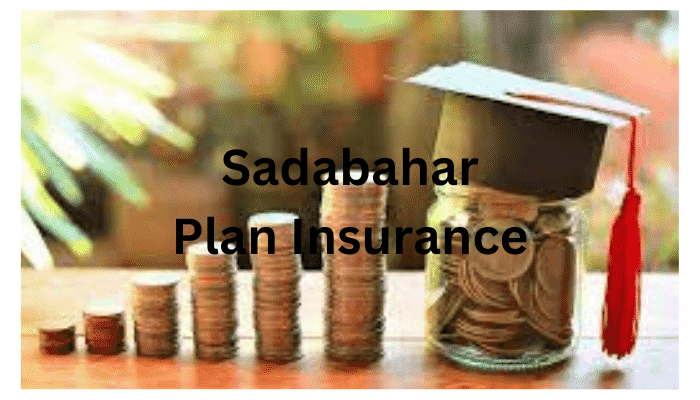 Sadabahar Plan Insurance